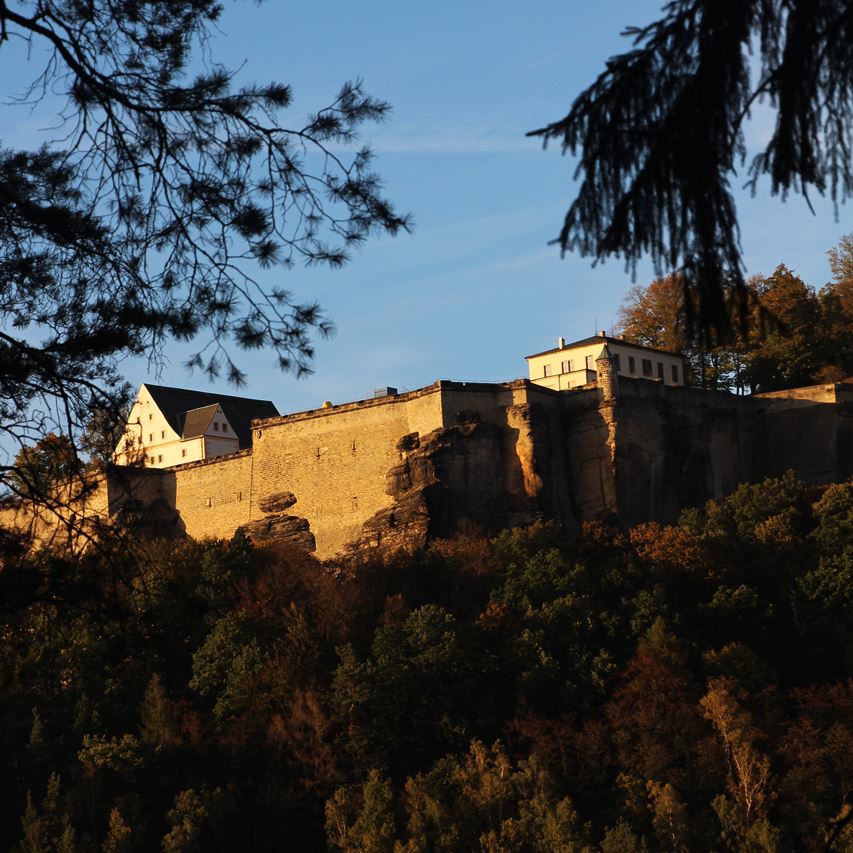 Festung Königstein - Forststeig